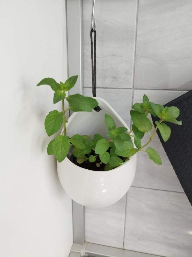 Antemma Apartment Пула Екстер'єр фото
